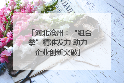 河北沧州：“组合拳”精准发力 助力企业创新突破