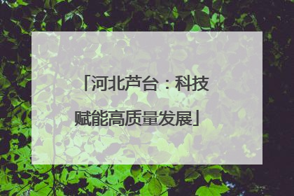 河北芦台：科技赋能高质量发展