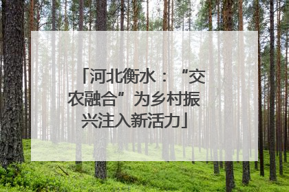 河北衡水：“交农融合”为乡村振兴注入新活力