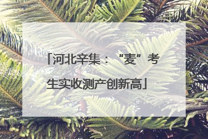 河北辛集：“麦”考生实收测产创新高