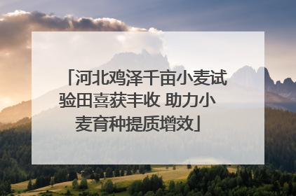 河北鸡泽千亩小麦试验田喜获丰收 助力小麦育种提质增效