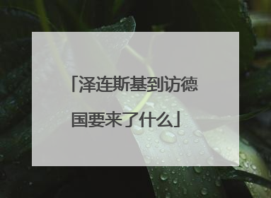 泽连斯基到访德国要来了什么