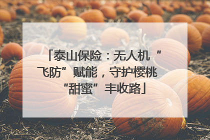 泰山保险：无人机“飞防”赋能，守护樱桃“甜蜜”丰收路