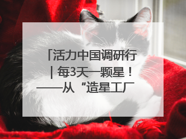 活力中国调研行｜每3天一颗星！——从“造星工厂”到太空织网的“银河速度”