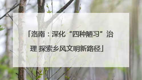 洛南：深化“四种陋习”治理 探索乡风文明新路径