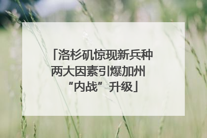 洛杉矶惊现新兵种 两大因素引爆加州“内战”升级
