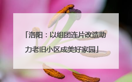 洛阳：以组团连片改造助力老旧小区成美好家园