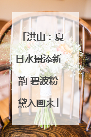 洪山：夏日水景添新韵 碧波粉黛入画来