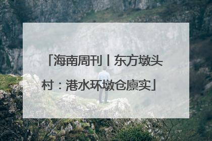 海南周刊丨东方墩头村：港水环墩仓廪实