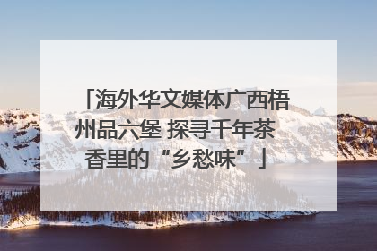 海外华文媒体广西梧州品六堡 探寻千年茶香里的“乡愁味”