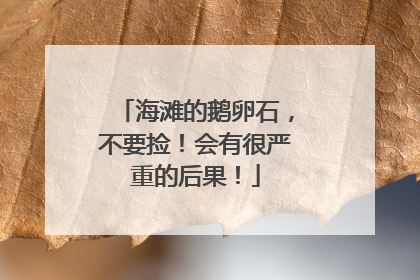 海滩的鹅卵石，不要捡！会有很严重的后果！