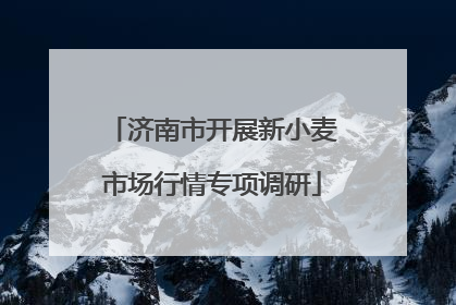 济南市开展新小麦市场行情专项调研
