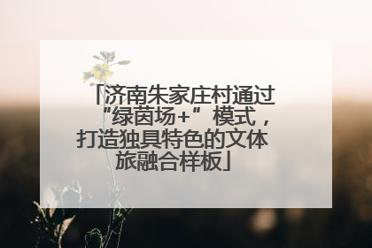 济南朱家庄村通过“绿茵场+”模式，打造独具特色的文体旅融合样板