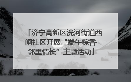 济宁高新区洸河街道西闸社区开展“端午粽香·邻里情长”主题活动