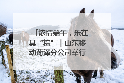 浓情端午，乐在其“粽”｜山东移动菏泽分公司举行端午节主题活动