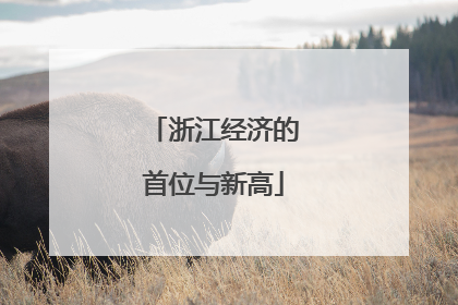 浙江经济的首位与新高