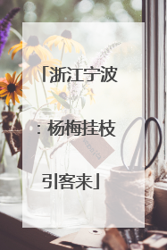 浙江宁波：杨梅挂枝引客来
