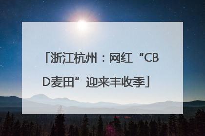 浙江杭州：网红“CBD麦田”迎来丰收季