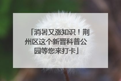 消暑又涨知识！荆州区这个新晋科普公园等您来打卡