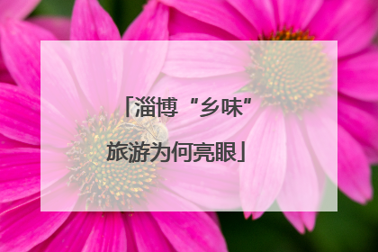 淄博“乡味”旅游为何亮眼