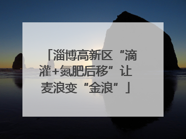 淄博高新区“滴灌+氮肥后移”让麦浪变“金浪”