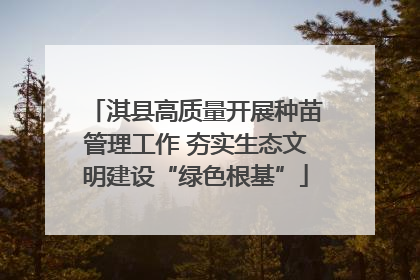 淇县高质量开展种苗管理工作 夯实生态文明建设“绿色根基”