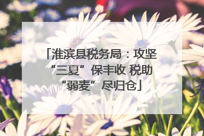 淮滨县税务局：攻坚“三夏”保丰收 税助“弱麦”尽归仓