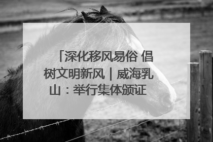 深化移风易俗 倡树文明新风｜威海乳山：举行集体颁证 倡导文明婚俗