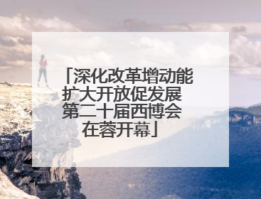 深化改革增动能 扩大开放促发展 第二十届西博会在蓉开幕