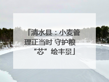 清水县：小麦管理正当时 守护粮“芯”绘丰景