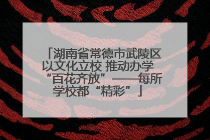 湖南省常德市武陵区以文化立校 推动办学“百花齐放”——每所学校都“精彩”