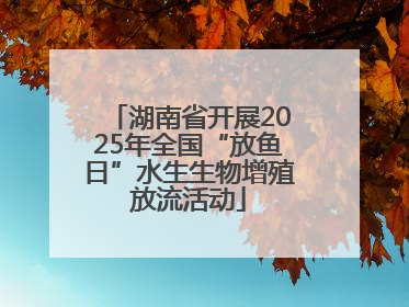 湖南省开展2025年全国“放鱼日”水生生物增殖放流活动