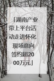 湖南产业带上平台活动走进怀化 现场意向签约超2000万元