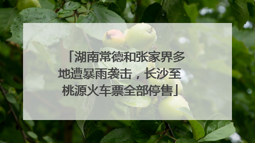 湖南常德和张家界多地遭暴雨袭击，长沙至桃源火车票全部停售