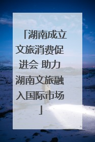 湖南成立文旅消费促进会 助力湖南文旅融入国际市场