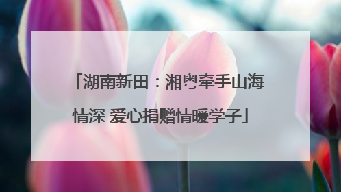 湖南新田：湘粤牵手山海情深 爱心捐赠情暖学子