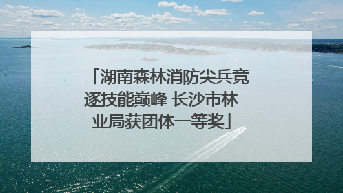 湖南森林消防尖兵竞逐技能巅峰 长沙市林业局获团体一等奖