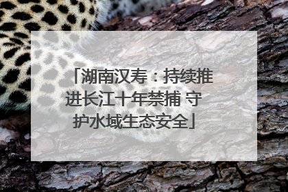 湖南汉寿：持续推进长江十年禁捕 守护水域生态安全