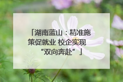 湖南蓝山：精准施策促就业 校企实现“双向奔赴”