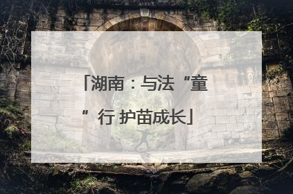 湖南：与法“童”行 护苗成长