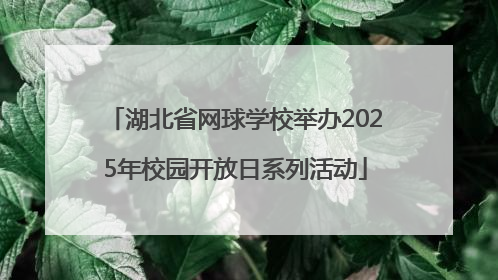 湖北省网球学校举办2025年校园开放日系列活动