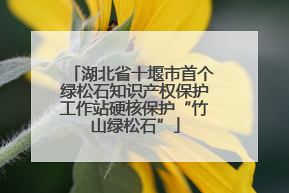 湖北省十堰市首个绿松石知识产权保护工作站硬核保护“竹山绿松石”