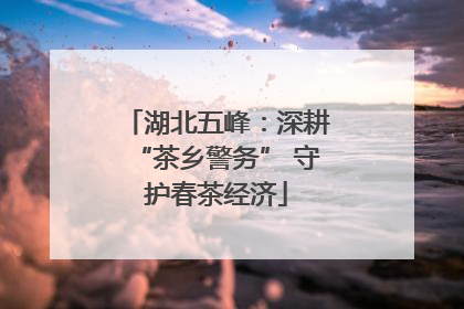湖北五峰：深耕“茶乡警务” 守护春茶经济