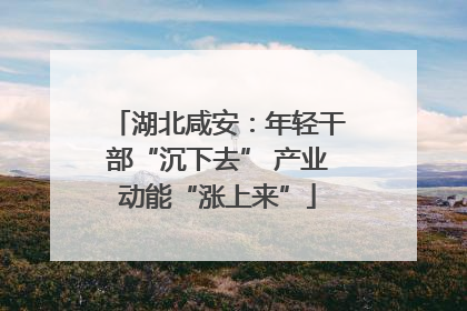 湖北咸安：年轻干部“沉下去” 产业动能“涨上来”