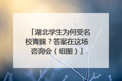 湖北学生为何受名校青睐？答案在这场咨询会（组图）