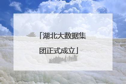 湖北大数据集团正式成立