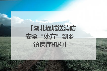 湖北通城送消防安全“处方”到乡镇医疗机构