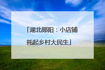 湖北郧阳：小店铺托起乡村大民生