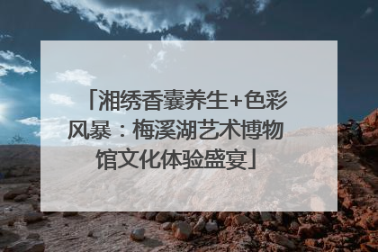 湘绣香囊养生+色彩风暴：梅溪湖艺术博物馆文化体验盛宴
