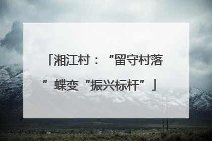 湘江村：“留守村落”蝶变“振兴标杆”